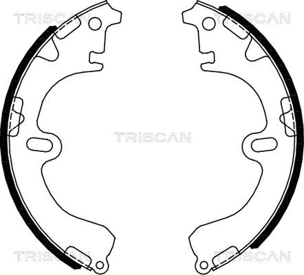 Triscan 8100 13051 - Jeu de mâchoires de frein cwaw.fr