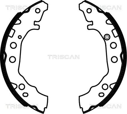 Triscan 8100 13052 - Jeu de mâchoires de frein cwaw.fr