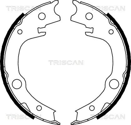 Triscan 8100 13039 - Jeu de mâchoires de frein, frein de stationnement cwaw.fr