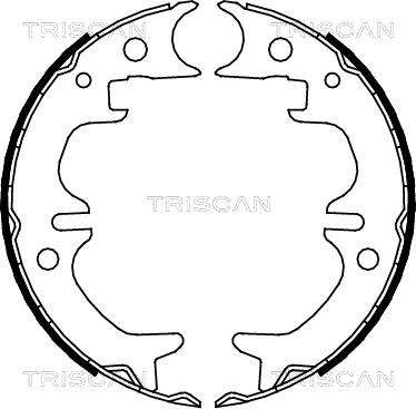 Triscan 8100 13030 - Jeu de mâchoires de frein, frein de stationnement cwaw.fr