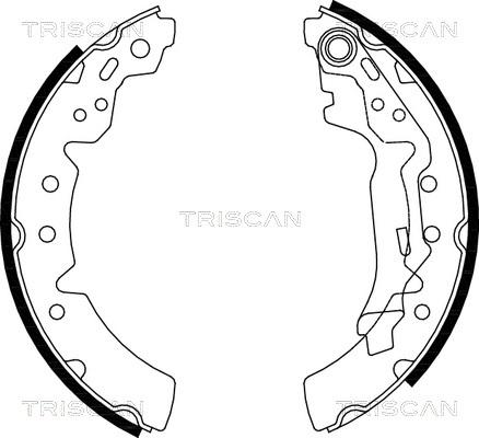 Triscan 8100 13031 - Jeu de mâchoires de frein cwaw.fr