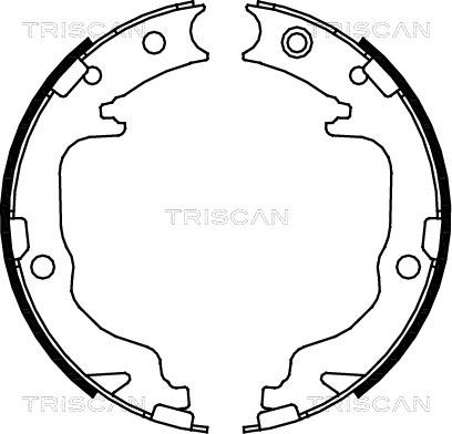 Triscan 8100 80010 - Jeu de mâchoires de frein, frein de stationnement cwaw.fr