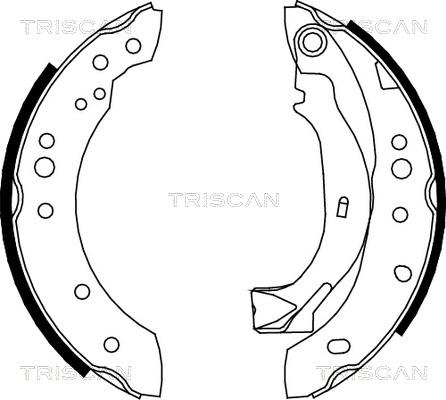 Triscan 8100 38001 - Jeu de mâchoires de frein cwaw.fr