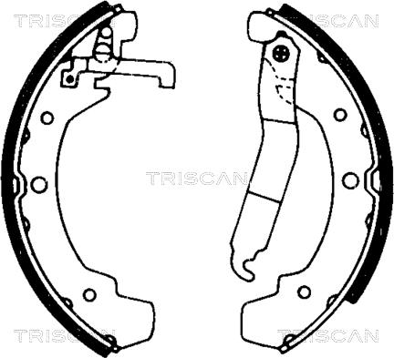 Triscan 8100 29437 - Jeu de mâchoires de frein cwaw.fr