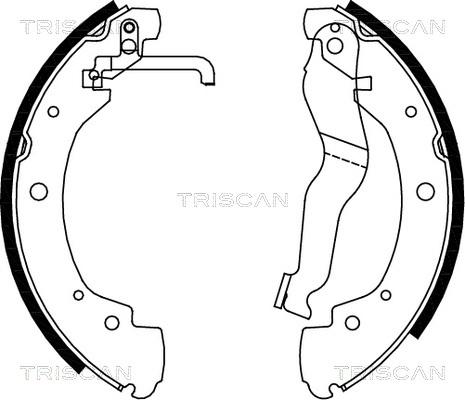 Triscan 8100 29549 - Jeu de mâchoires de frein cwaw.fr