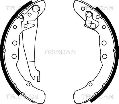 Triscan 8100 29530 - Jeu de mâchoires de frein cwaw.fr