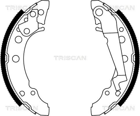 Triscan 8100 29001 - Jeu de mâchoires de frein cwaw.fr