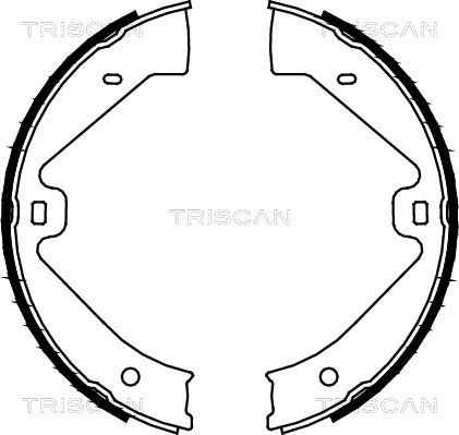 Triscan 8100 29002 - Jeu de mâchoires de frein, frein de stationnement cwaw.fr