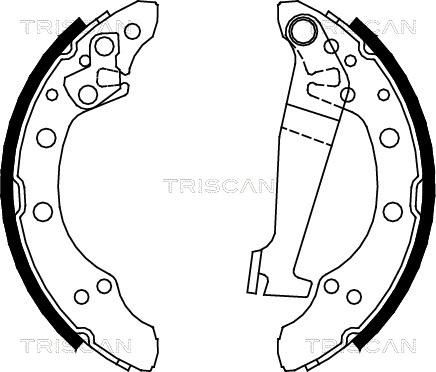 Triscan 8100 29345 - Jeu de mâchoires de frein cwaw.fr