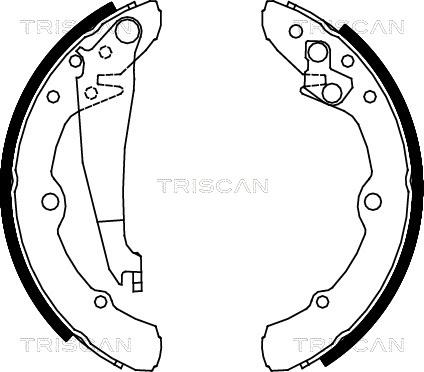 Triscan 8100 29343 - Jeu de mâchoires de frein cwaw.fr