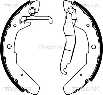 Triscan 8100 29370 - Jeu de mâchoires de frein cwaw.fr