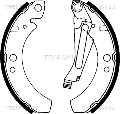 Triscan 8100 29266 - Jeu de mâchoires de frein cwaw.fr