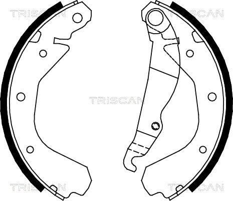 Triscan 8100 24409 - Jeu de mâchoires de frein cwaw.fr