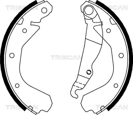 Triscan 8100 24413 - Jeu de mâchoires de frein cwaw.fr