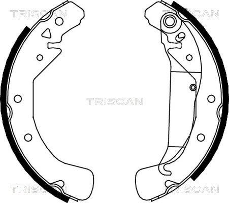 Triscan 8100 24589 - Jeu de mâchoires de frein cwaw.fr