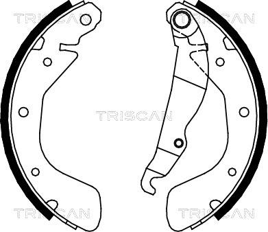 Triscan 8100 24539 - Jeu de mâchoires de frein cwaw.fr