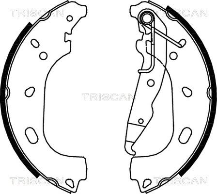 Triscan 8100 24004 - Jeu de mâchoires de frein cwaw.fr