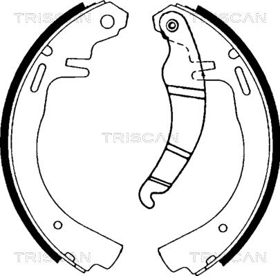 Triscan 8100 24223 - Jeu de mâchoires de frein cwaw.fr