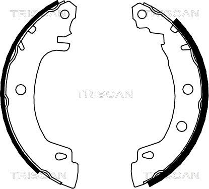 Triscan 8100 25581 - Jeu de mâchoires de frein cwaw.fr