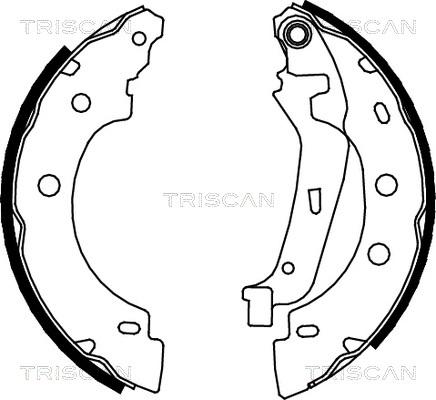 Triscan 8100 25635 - Jeu de mâchoires de frein cwaw.fr