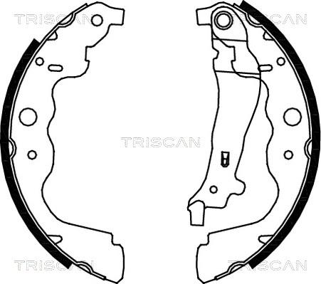 Triscan 8100 25004 - Jeu de mâchoires de frein cwaw.fr