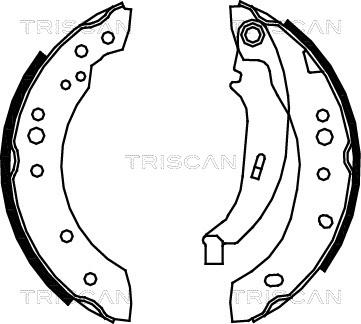 Triscan 8100 25005 - Jeu de mâchoires de frein cwaw.fr