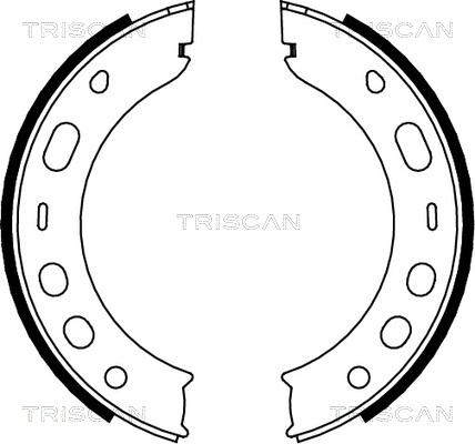 Triscan 8100 20001 - Jeu de mâchoires de frein, frein de stationnement cwaw.fr