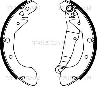 Triscan 8100 21612 - Jeu de mâchoires de frein cwaw.fr