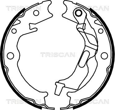 Triscan 8100 21001 - Jeu de mâchoires de frein cwaw.fr