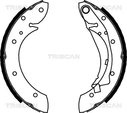 Triscan 8100 28598 - Jeu de mâchoires de frein cwaw.fr