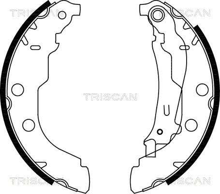 Triscan 8100 28582 - Jeu de mâchoires de frein cwaw.fr