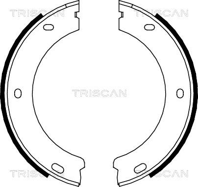 Triscan 8100 28522 - Jeu de mâchoires de frein, frein de stationnement cwaw.fr