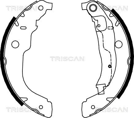 Triscan 8100 28053 - Jeu de mâchoires de frein cwaw.fr