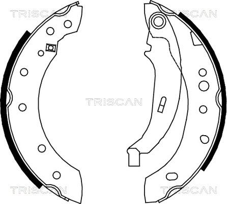 Triscan 8100 28052 - Jeu de mâchoires de frein cwaw.fr