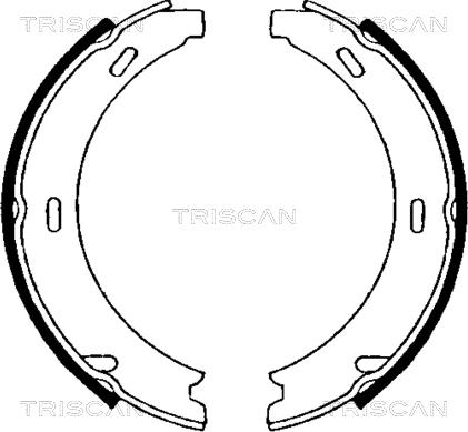 Triscan 8100 23552 - Jeu de mâchoires de frein, frein de stationnement cwaw.fr