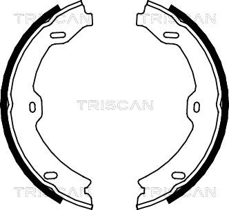 Triscan 8100 23031 - Jeu de mâchoires de frein, frein de stationnement cwaw.fr