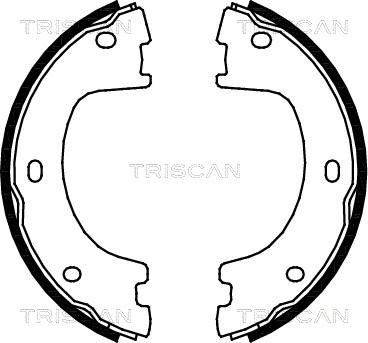 Triscan 8100 23032 - Jeu de mâchoires de frein cwaw.fr