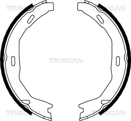 Triscan 8100 23029 - Jeu de mâchoires de frein, frein de stationnement cwaw.fr