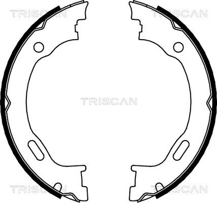 Triscan 8100 23028 - Jeu de mâchoires de frein, frein de stationnement cwaw.fr