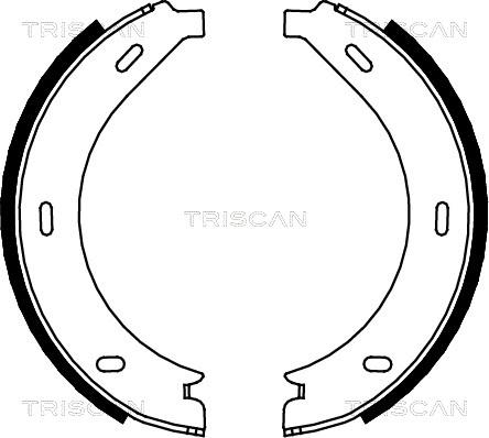 Triscan 8100 23023 - Jeu de mâchoires de frein, frein de stationnement cwaw.fr