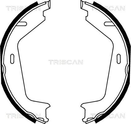 Triscan 8100 27579 - Jeu de mâchoires de frein, frein de stationnement cwaw.fr