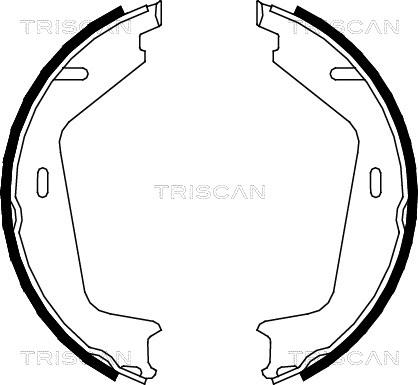 Triscan 8100 27578 - Jeu de mâchoires de frein, frein de stationnement cwaw.fr