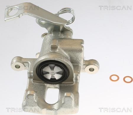 Triscan 8175 40209 - Étrier de frein cwaw.fr