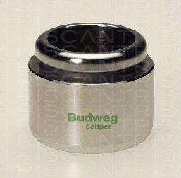 Triscan 8170 234405 - Piston, étrier de frein cwaw.fr