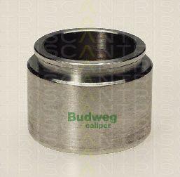 Triscan 8170 234403 - Piston, étrier de frein cwaw.fr