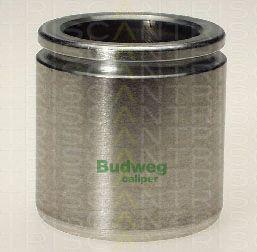 Triscan 8170 234846 - Piston, étrier de frein cwaw.fr