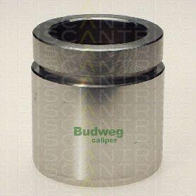 Triscan 8170 234834 - Piston, étrier de frein cwaw.fr