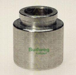 Triscan 8170 234312 - Piston, étrier de frein cwaw.fr