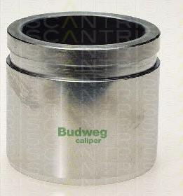 Triscan 8170 235465 - Piston, étrier de frein cwaw.fr