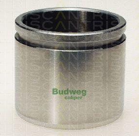 Triscan 8170 235715 - Piston, étrier de frein cwaw.fr